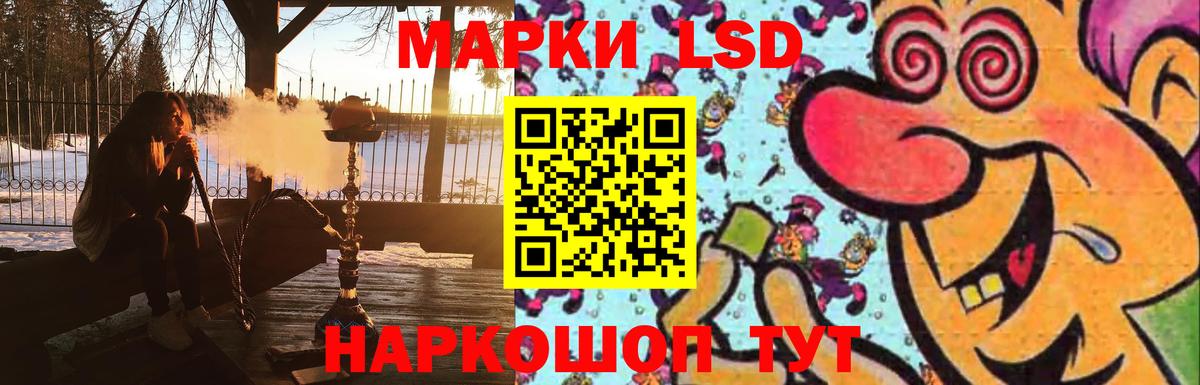 Курчатов  Лсд 25 экстази  Вход с VPN  ЛСД экстази ecstasy  ЛСД экстази кислота 